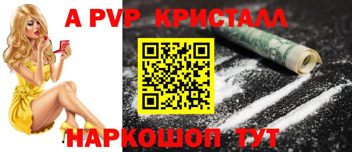 APVP СК КРИС Губкин