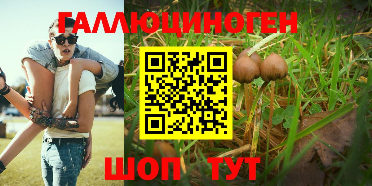 Губкин  Псилоцибиновые грибы Magic Shrooms  Псилоцибиновые грибы Psilocybe  Вход с VPN 