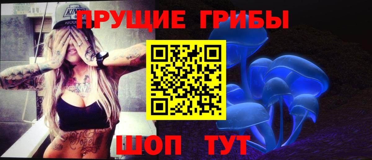 Галлюциногенные грибы Psilocybe Губкин